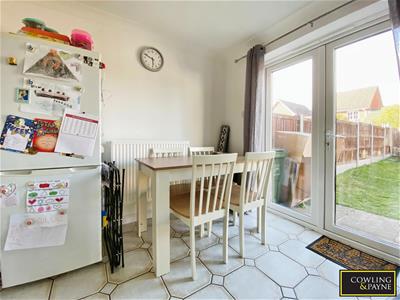 Picture 8
